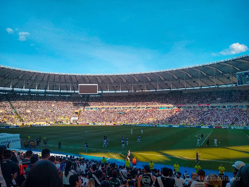 Clubes querem o retorno da torcida aos estádios para evitar mais prejuízos milionários.