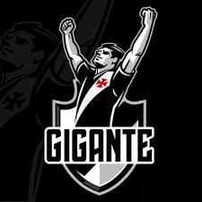 Mesmo com crise e campanha de desassociação, Vasco mantém elevado número de sócio-torcedores